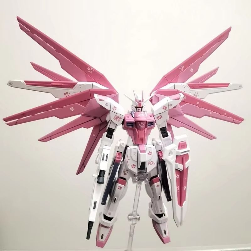 JMS HG 1/144 ZY-06 Freedom Ass – Bandai Model Gundam Hg recenzja i cena